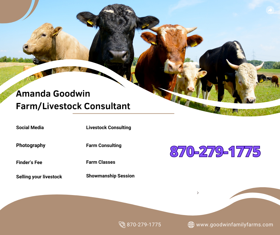 Amanda Goodwin FarmLivestock Consultant